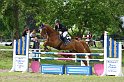 005M6518_Silvio B_Springpferde L